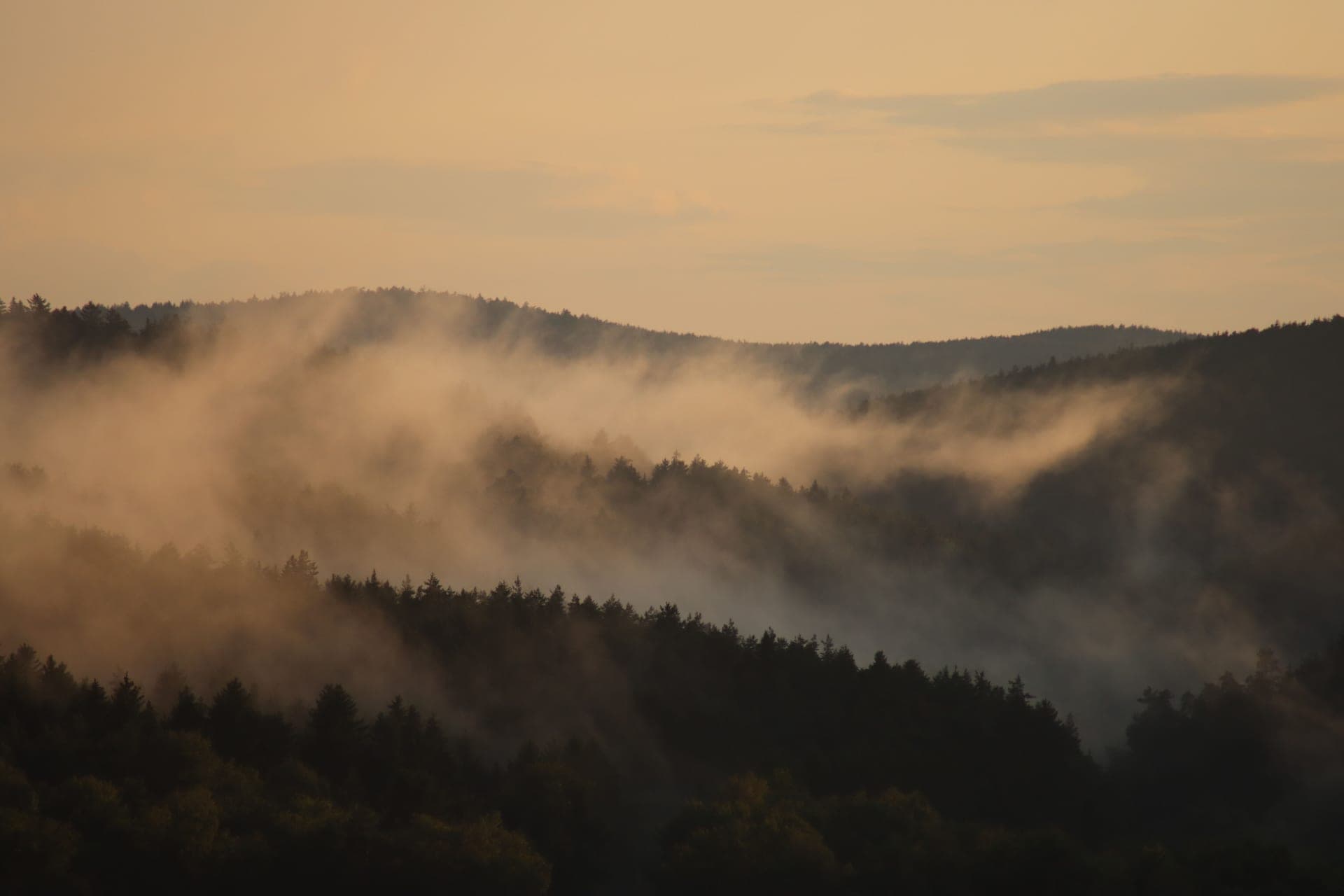 Fog rolling over a forested ridge at sunrise in hunting season